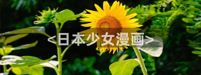 汗汗漫画――歪歪漫画免费