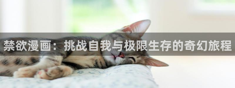 韩国汗汗漫画
