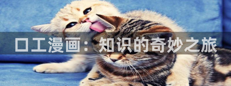 汗汗漫画网手机版
