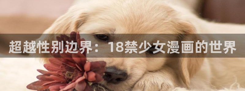 汗汗漫画入口免费